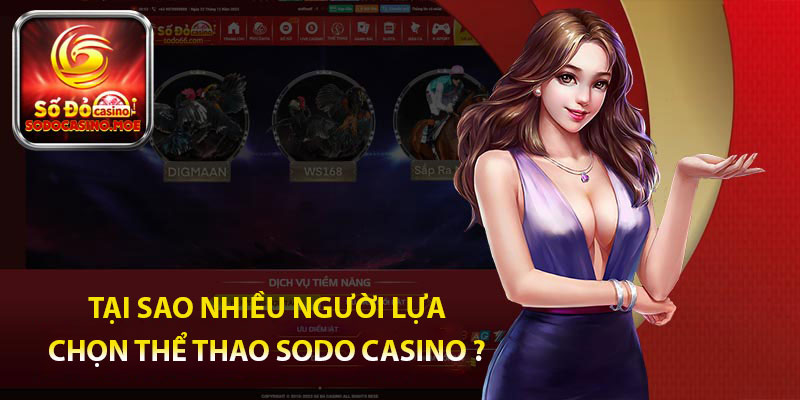 Tại sao nhiều người lựa chọn thể thao Sodo Casino ?